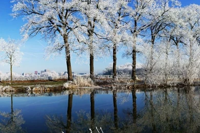 Crooked Rhine River Fisheye Photography HD Desktop Wallpapers ...