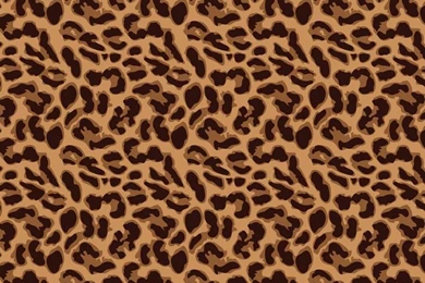 Leopard Print Phone Wallpapers   Browse Leopard Print Wallpapers ...