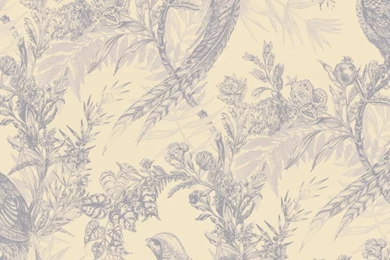 Timorous Beasties Wallcoverings   Pheasant