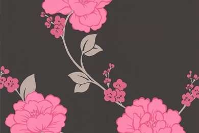 Fuschia Wallpapers   Wallpapers Cave