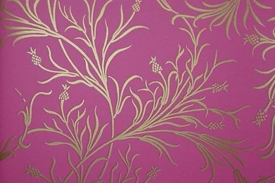 Fuschia Foliage Wallpapers