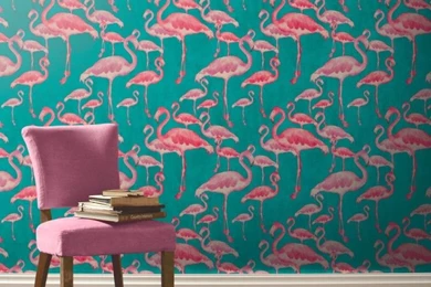 Flamingo Beach 4 Roomset 1000px 5ece46008290879ccc211b9c30eac9b4.jpg