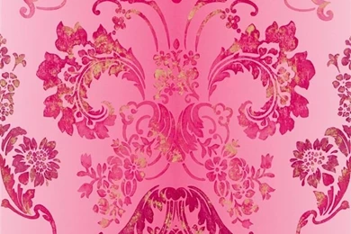 Kashgar   Fuchsia Wallpapers