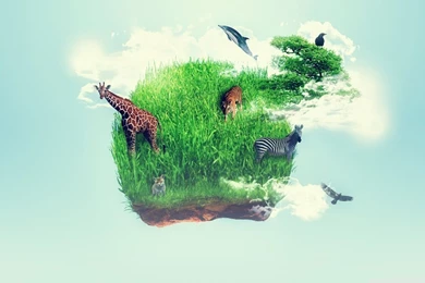 Wildlife HD Desktop Wallpapers : High Definition : Fullscreen : Mobile