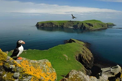 Stunning HD Wallpapers For Your Desktop