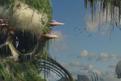 Nausicaa Quotes. QuotesGram