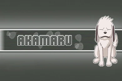 Naruto Wallpapers: Kiba: The Dog Boy