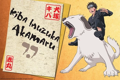 Kiba Inuzuka Wallpapers   Wallpapers Cave