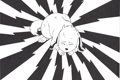 Akamaru – Team Kurenai