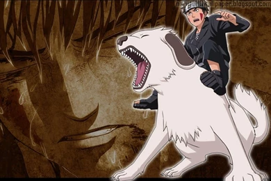 Kiba Inuzuka : Naruto Shippuden Wallpapers