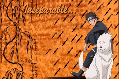 Kiba ♥ ♥ ♥   Kiba Inuzuka Wallpapers (27044615)   Fanpop