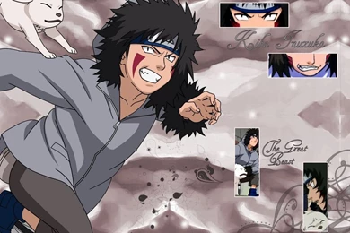 Kiba Wallpapers   Wallpapers Cave