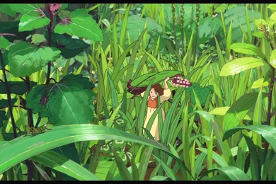 NAUSICAA VALLEY WIND Anime Fantasy Adventure Nausicaa Valley Wind ...