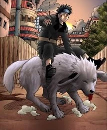 Kiba_and_Akamaru 7.jpg