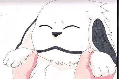 Kiba Inuzuka Favourites By Kizume55 On DeviantArt