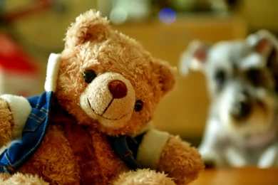 Teddy Bear And Dog   (