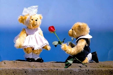 Happy Teddy Day 2016 HD Wallpapers   Happy Valentine's Day 2016 ...