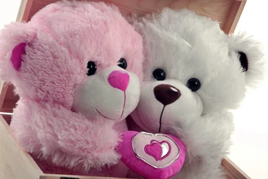 Happy Teddy Day 2016 SMS, Wishes, Quotes, Wallpaper, Images ...