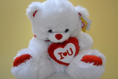 Happy Teddy Day 2016 SMS, Wishes, Quotes, Wallpaper, Images ...