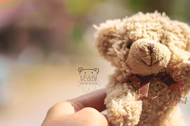 Teddy wallpaper 00378.jpg