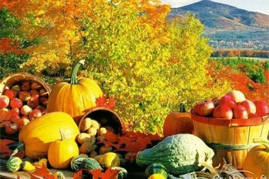 Download Free Fall Theme, Fall Theme Download