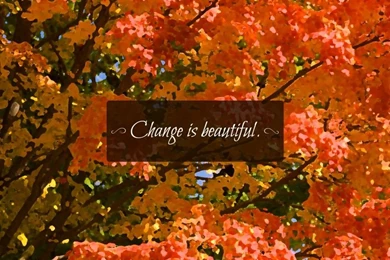 Free Wallpapers For Your Phone Or Desktop: Fall 2015   Amalgam