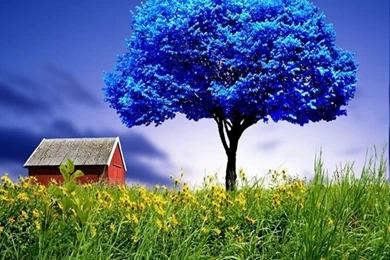 Best Mobile Wallpapers & Mobile Wallpapers With Sayings