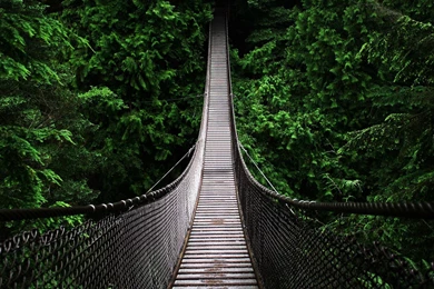 THEME] Google Nexus 7 Wallpapers