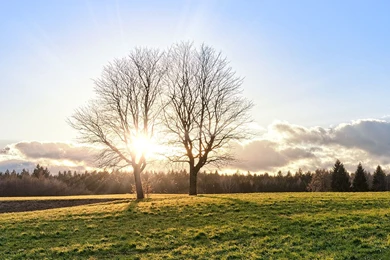 THEME] Google Nexus 7 Wallpapers