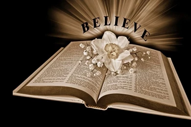 Bible Wallpapers Wallpapers Cave