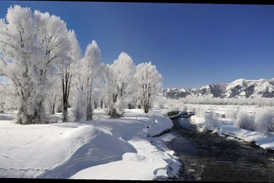 Computer Wallpapers Winter   5 Items