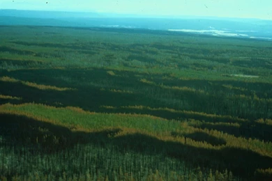 Nature Wallpapers Gif   HD Wallpapers Lovely