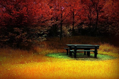 Beautiful Nature Wallpapers For Desktop Free Download Hd