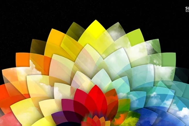 Colorful Flower Petals Wallpapers   Digital Art Wallpapers