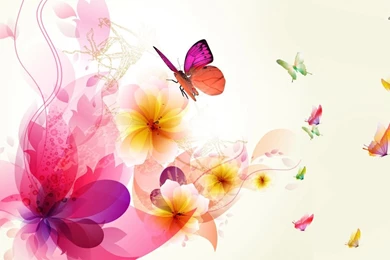 Colorful Butterflies On Flowers Wallpapers   Digital Art Wallpapers ...