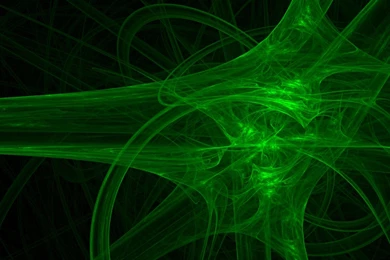 Green Flowers Animals Insects Bug Beetles June