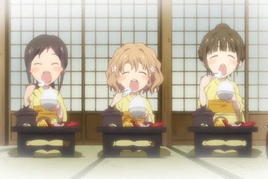 Jeffrey's Anime Blog: Hanasaku Iroha   Episode 8