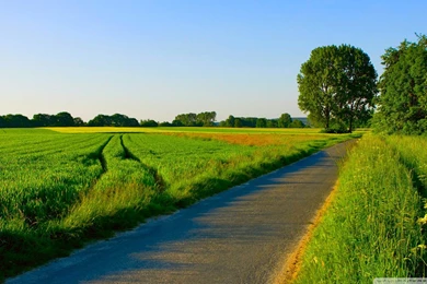 Summer Landscape HD Wallpapers