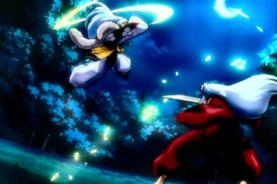 Pictures > Inuyasha And Sesshomaru Fighting