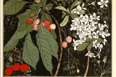 The Antidote To Dirty Snow   Decor Arts Now