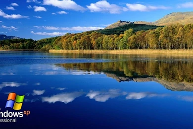 Wallpapers X Cat Splendid Wallpape Windows Xp 1366x768