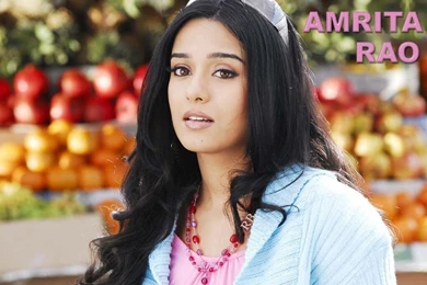 Amrita Rao Wallpapers   (1024x768) : Indya101.com