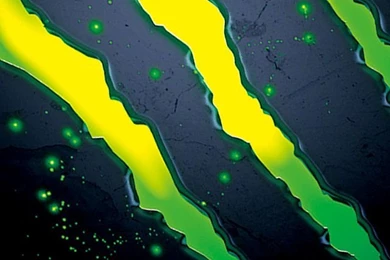 Apple iPhone 5C Skins Monster Energy Full Body Decals Stickers ...