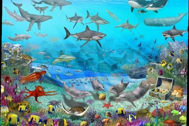 Laptop Wallpapers Free Download   5 Items