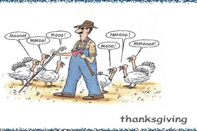 Funny Thanksgiving Images Free