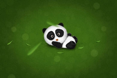 Cute Baby Panda Cartoon HD Wallpapers