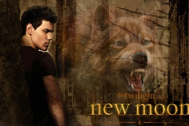 Jacob Black HD Wallpapers, Jacob Black Backgrounds