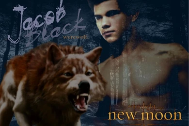 Jacob Black HD Wallpapers, Jacob Black Backgrounds