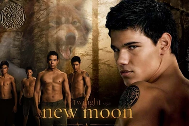 Twilight Jacob Black Wallpapers   Wallpapers Cave