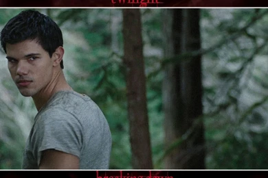 1280x1024 Breaking Dawn: Jacob Black Desktop PC And Mac Wallpapers